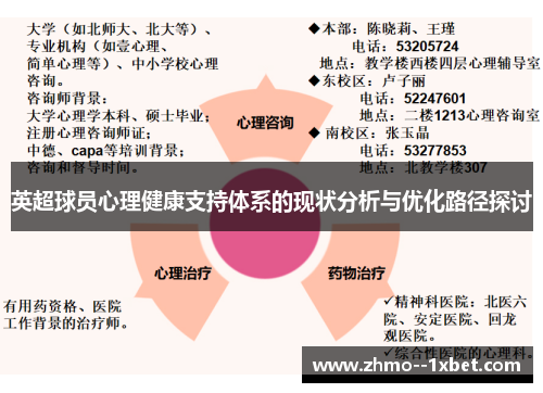 英超球员心理健康支持体系的现状分析与优化路径探讨