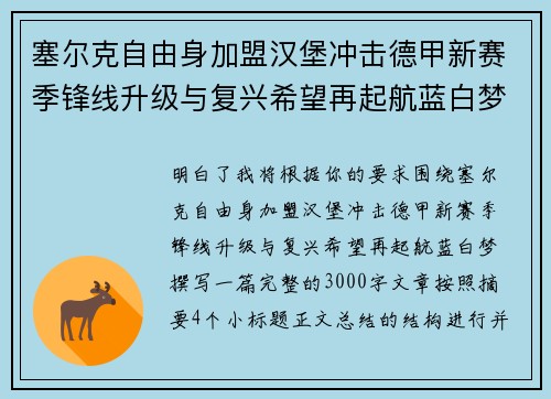 塞尔克自由身加盟汉堡冲击德甲新赛季锋线升级与复兴希望再起航蓝白梦